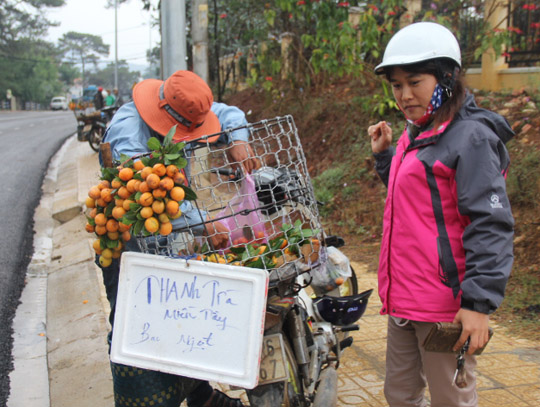 Trái thanh trà “tìm đường” lên Đà Lạt